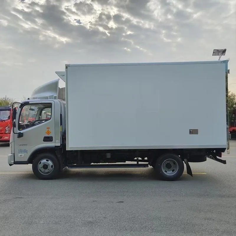 XPS-Kühl-LKW-Aufbau